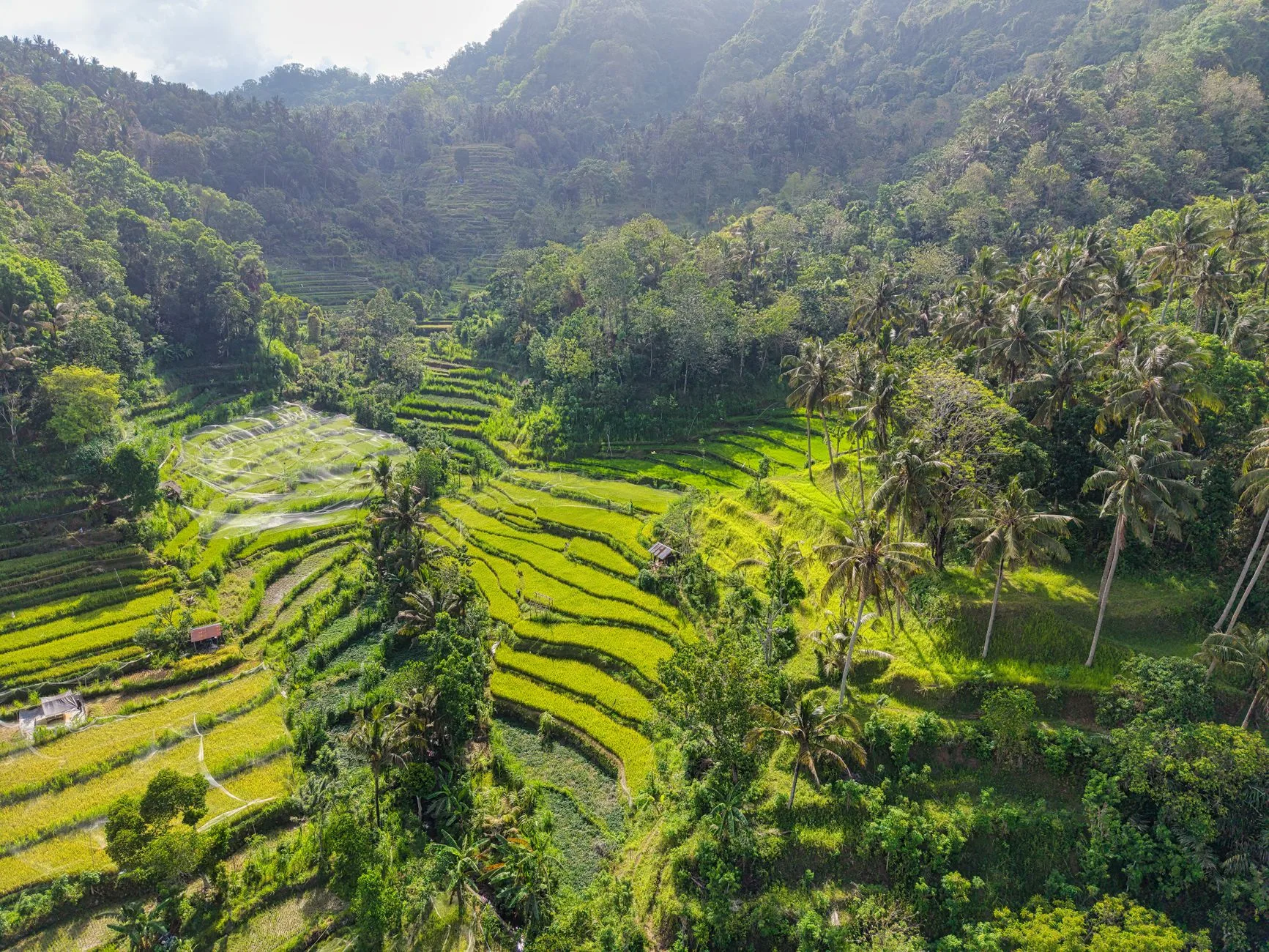 ️ Hébergement : de Yogyakarta à Bali, le poste qui pèse le plus