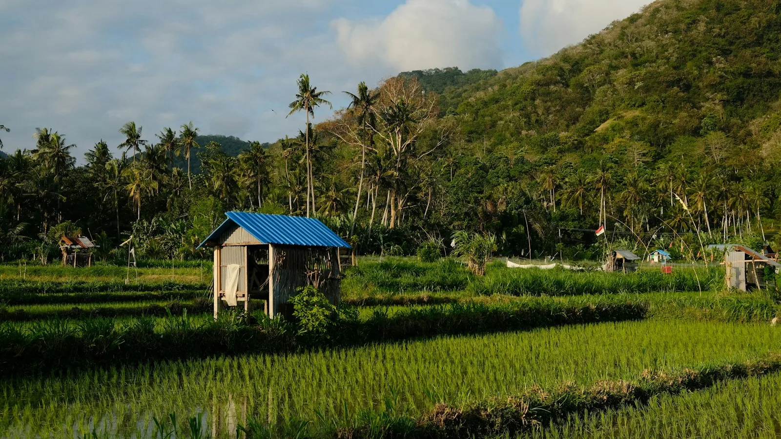 Paysage de volcans et de rizières sur l'itinéraire Java, Bali et Lombok en Indonésie