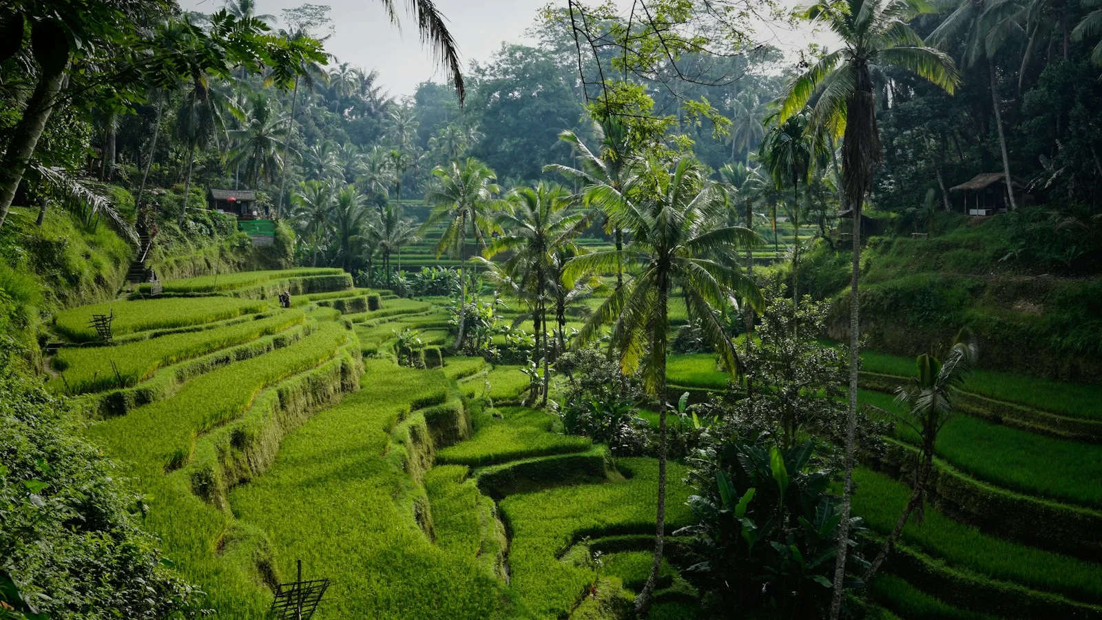 Ubud : culture, rizières et calme relatif