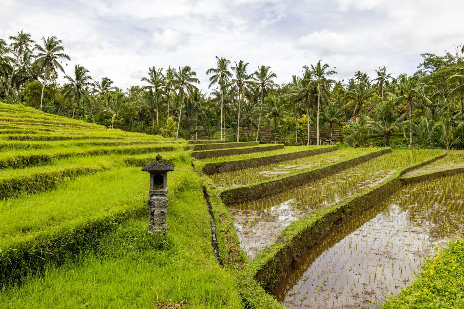 ️ Bali : la saison sèche, mais attention à la foule